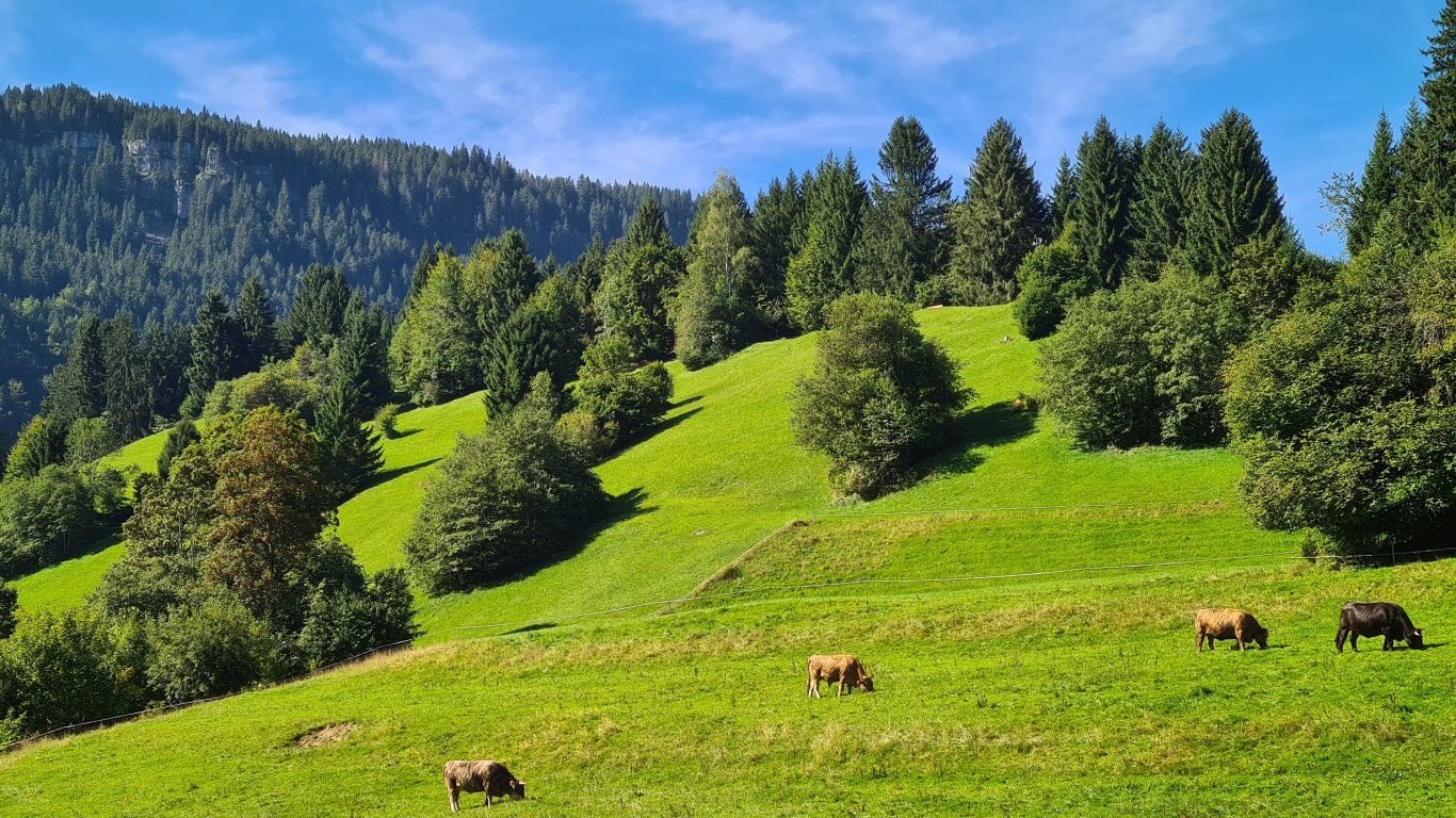 Der Westbalkon mit Ausblick auf den Herrenberg