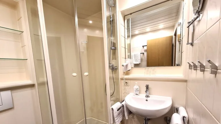 Badezimmer mit Dusche – Grünten