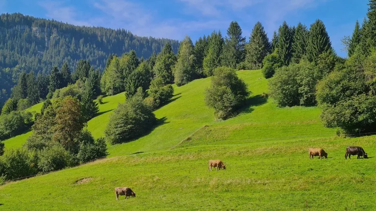 Westbalkon mit Gartenblick – Gartenblick, Westbalkon – Weiherkopf