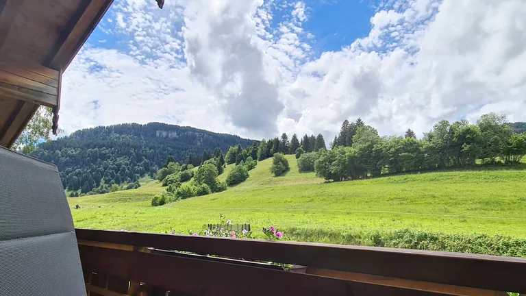 Westbalkon mit Gartenblick – Gartenblick, Westbalkon – Wannenkopf