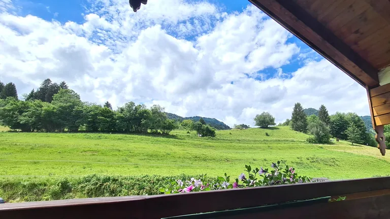 Westbalkon mit Gartenblick – Gartenblick, Westbalkon – Wannenkopf